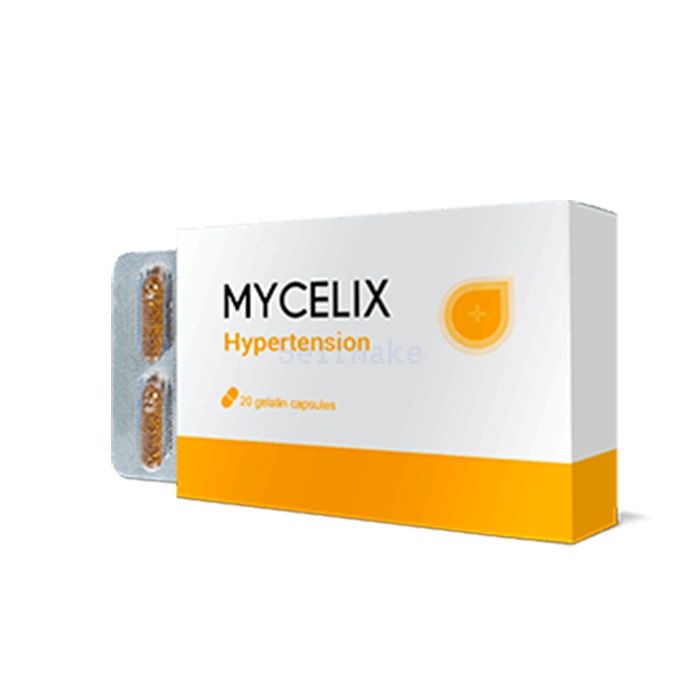 Mycelix ⏤ Heilmittel gegen Bluthochdruck